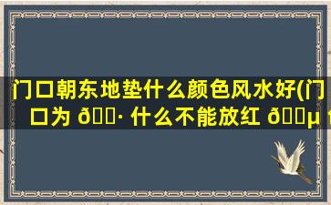 门口朝东地垫什么颜色风水好(门口为 🕷 什么不能放红 🌵 色地垫)